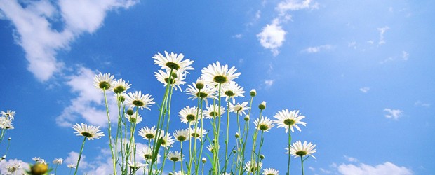 Genieten van het mooie weer | Woonzorgnetwerk Maria Troost Veurne